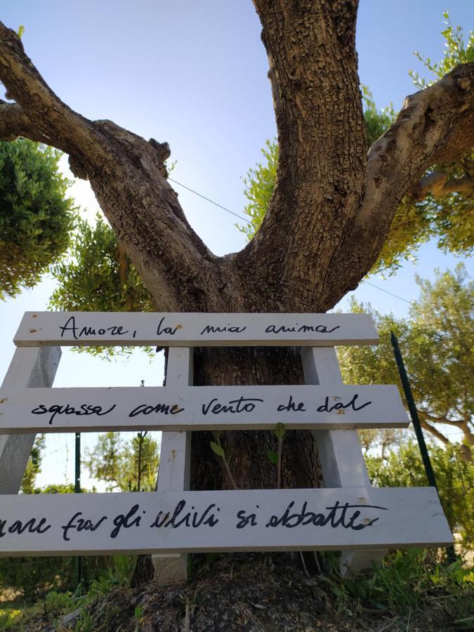 הוילה טורינו די סנגרו Relais Il Giardino Fra Gli Ulivi מראה חיצוני תמונה