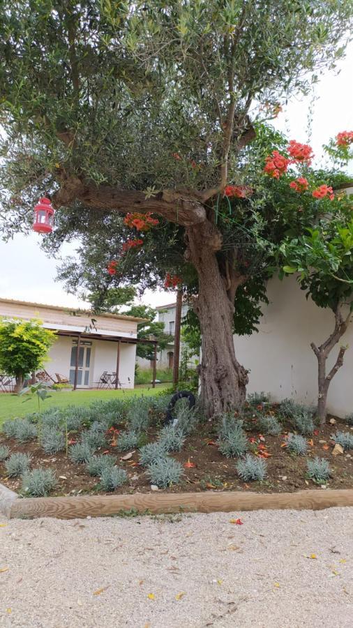 הוילה טורינו די סנגרו Relais Il Giardino Fra Gli Ulivi מראה חיצוני תמונה