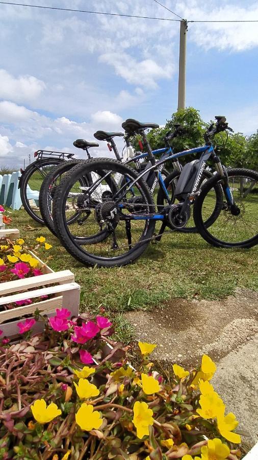 הוילה טורינו די סנגרו Relais Il Giardino Fra Gli Ulivi מראה חיצוני תמונה