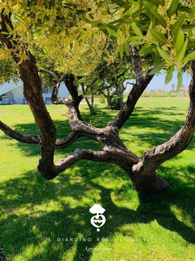 הוילה טורינו די סנגרו Relais Il Giardino Fra Gli Ulivi מראה חיצוני תמונה