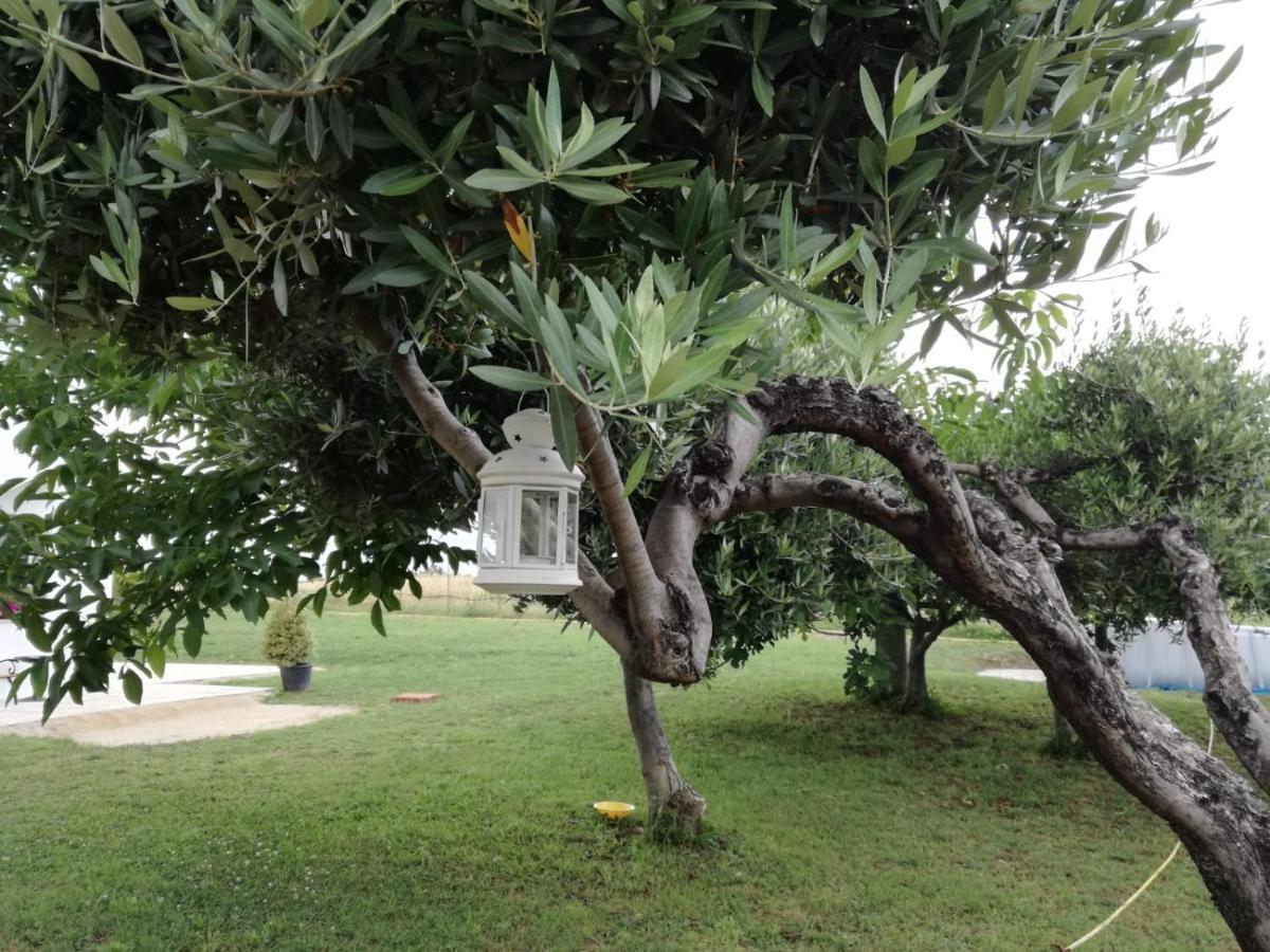 הוילה טורינו די סנגרו Relais Il Giardino Fra Gli Ulivi מראה חיצוני תמונה